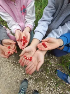 kep ovoda 009